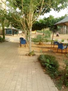 a group of blue benches sitting next to a tree at Hotel TK d'Or in Kpodji