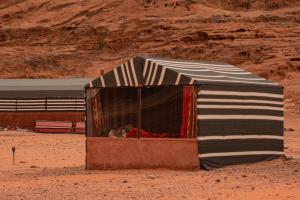 Fotografie z fotogalerie ubytování Wadirum sunset camp v destinaci Wadi Rum