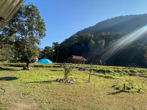 a field with a tent and a tree in the grass at Miknaon River Retreat in Pedong