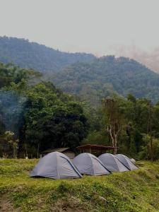 rząd namiotów na polu z górą w obiekcie Miknaon River Retreat w mieście Pedong