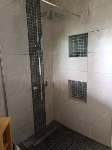 een badkamer met een douche met een glazen deur bij Appartement st leu Vill'Alizoé in Entre-Deux