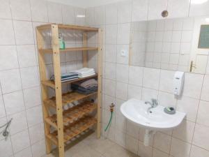 a bathroom with a sink and a shelf next to a mirror at Chaloupka Bernartička in Boršov