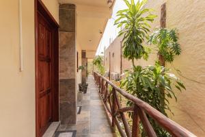 Balkón nebo terasa v ubytování Hotel Macondo Holbox