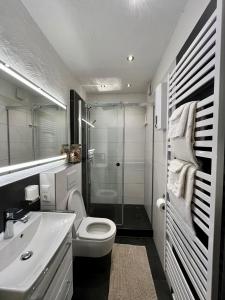 Un baño con ducha, inodoro y lavabo. en Meyver Ferienwohnung, en Cochem