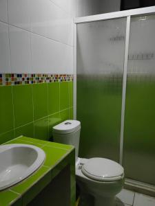 ein grünes Bad mit einem WC und einem Waschbecken in der Unterkunft Rincon Mágico in Ciudad Valles