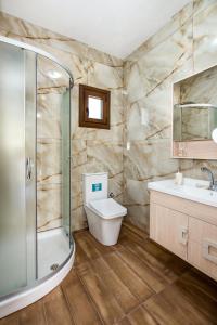 a bathroom with a shower and a toilet and a sink at Zara Studios in Astris