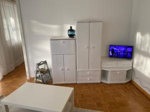 TV a/nebo společenská místnost v ubytování Ferienwohnung in Michelbach an der Bilz
