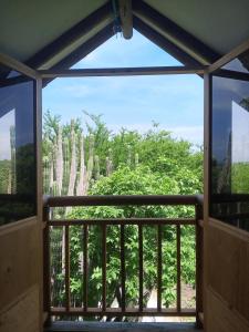 a view from the window of a balcony with cactuses at Cabañita en el Bosque Seco Tropical -Microrreserva El Guamacho in Santa Marta