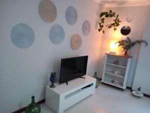 een woonkamer met een flatscreen-tv aan de muur bij Espiguiñas in Muros