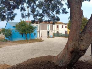 a blue and white house with a tree at B&B Borgo Sabelli - Costa dei Trabocchi in Casalbordino