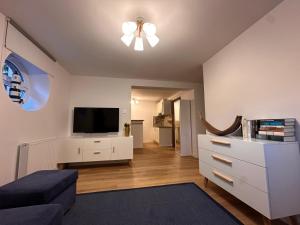TV a/nebo společenská místnost v ubytování Villa Park - apartament