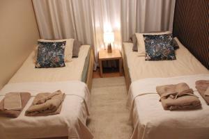 two twin beds in a room with a lamp at Two-room apartment in the center of Helsinki with a sauna! Free parking! in Helsinki