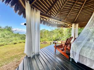 Zahrada ubytování Finca Terra Incognita - Wood cabins in the jungle + 37 fotografií