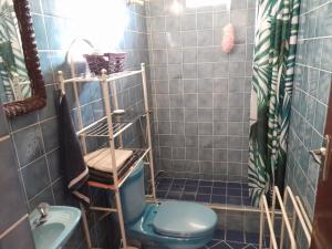 a bathroom with a blue toilet and a sink at Joli bas-de-villa in Les Abymes +4 photos