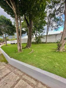 eine Reihe von Bäumen in einem Park mit grünem Gras in der Unterkunft Casa Carnaval 2025-São Benedito-CE in São Benedito