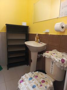 a bathroom with a sink and a toilet and a mirror at Casa de Tania in Puerto Baquerizo Moreno +6 photos