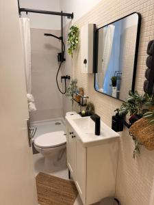 a bathroom with a toilet and a sink and a mirror at Traumhaft wohnen in Saarbrücken am historischen Markt in Saarbrücken