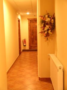 Fotografie z fotogalerie ubytování Hostal Xaloa Orio v destinaci Orio