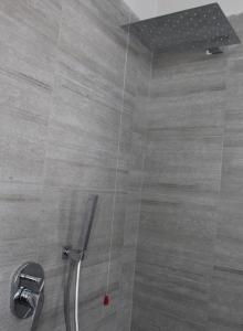 a bathroom with a shower with a glass door at Larian Chalet in Moltrasio +21 photos