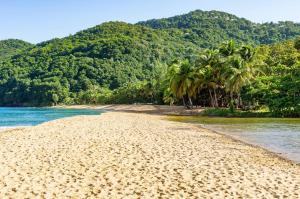a beach with palm trees and water and mountains at Joli bas-de-villa in Les Abymes