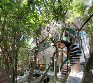 een huis in het bos met een boom bij Ninhos da Pipa in Pipa