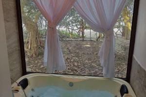 Imagen de la galería de Casa Playa Tortugas, en Vega de Alatorre