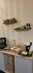 eine Theke mit Waschbecken und Regalen an der Wand in der Unterkunft LA PETITE LUGE studio sur les pistes centre station Super-Besse in Besse-et-Saint-Anastaise