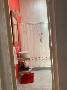 a bathroom with a sink and a shower curtain at La Casa de Alvear - Casco Histórico in San Antonio de Areco
