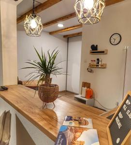 a room with a table with a plant on it at Rivergreen in Banja Luka +5 photos