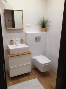 Fotografia z galérie ubytovania Apartament Alihouse v destinácii Bydgoszcz