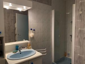 a bathroom with a sink and a shower at Maison tranquille avec jardin et wifi, 3 chambres - FR-1-336-116 in Avrillé +25 photos