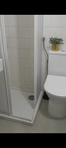 a bathroom with a toilet and a shower with a plant at Charming home in Alfama, amazing view in Lisbon