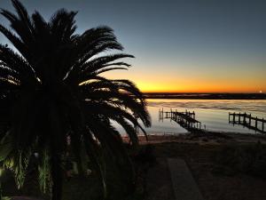 a palm tree sitting next to a body of water at Driftwater in Velddrif