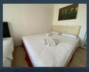 Postel nebo postele na pokoji v ubytování Vnz alacati