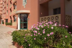 um arbusto de flores cor-de-rosa em frente a um edifício em Enjoy the Ria Formosa Estuary em Faro