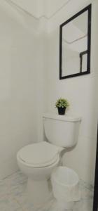 a white toilet in a bathroom with a potted plant at Laureles estadio plaza mayor la 70 unicentro in Medellín