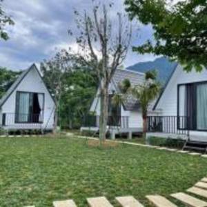 バヴィにあるHương Cỏ Villa Venuestayの庭木白家