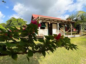 En have udenfor Superbe bungalow et son jardin tropical