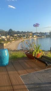 South ArmBeach Buoy Opossum Bay的木桌,种有植物,享有海滩美景