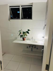 a bathroom with a sink and a potted plant on it at Hospedaria Catete in Rio de Janeiro