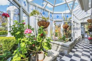 Κήπος έξω από το Katoomba Estate