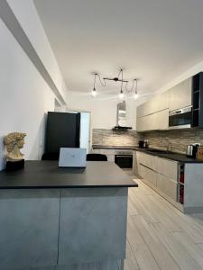 Küche/Küchenzeile in der Unterkunft Elegant & Spacious 2BR 2BA Unit with Private Patio
