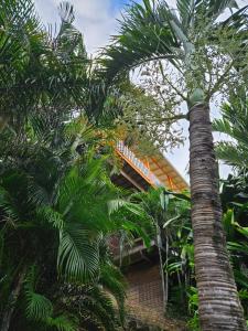 Aed väljaspool majutusasutust Roatan - house for 4 by the sea