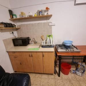 レホヴォトにあるRehovot Cozy apartmentのキッチン(カウンター、シンク、コンロ付)