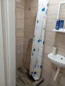 a bathroom with a shower curtain and a sink at Nataly Apartment in Belgrade +13 photos