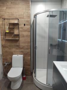 ein Badezimmer mit Dusche, Toilette und Waschbecken in der Unterkunft Modern 2-Room Comfort Apartment in Yerevan, Norashen in Yerevan + 4 Fotos