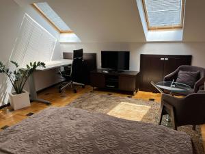 a living room with a bed and a desk and a television at Pleasure Čair apartments in Niš