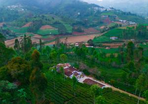 an aerial view of a farm on a hill at Silver Dale Tea Estate Bungalow Ooty by VOYE HOMES in Ooty