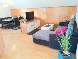 Μια τηλεόραση ή/και κέντρο ψυχαγωγίας στο Fewo Alpenblick im Haus Wiedemann