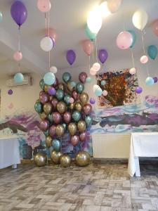 Φωτογραφία από το άλμπουμ του Vila Petreceri Private σε Ştefăneştii de Jos